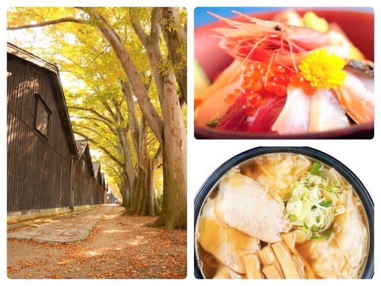 山居倉庫のケヤキ並木と海鮮丼と酒田ラーメン