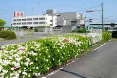 銀星自動車学園の校舎