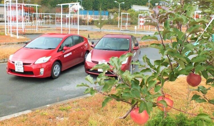 飯田自動車学校のコースのりんごの木